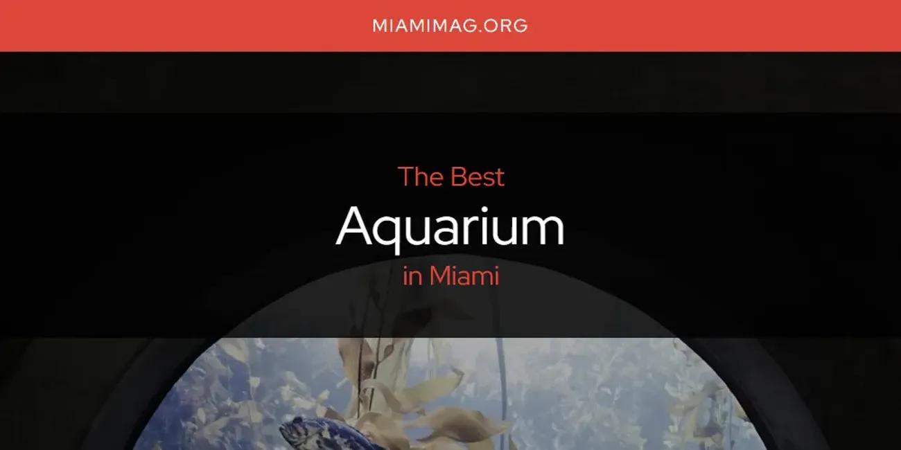 Miami's Best Aquarium [Updated 2024]