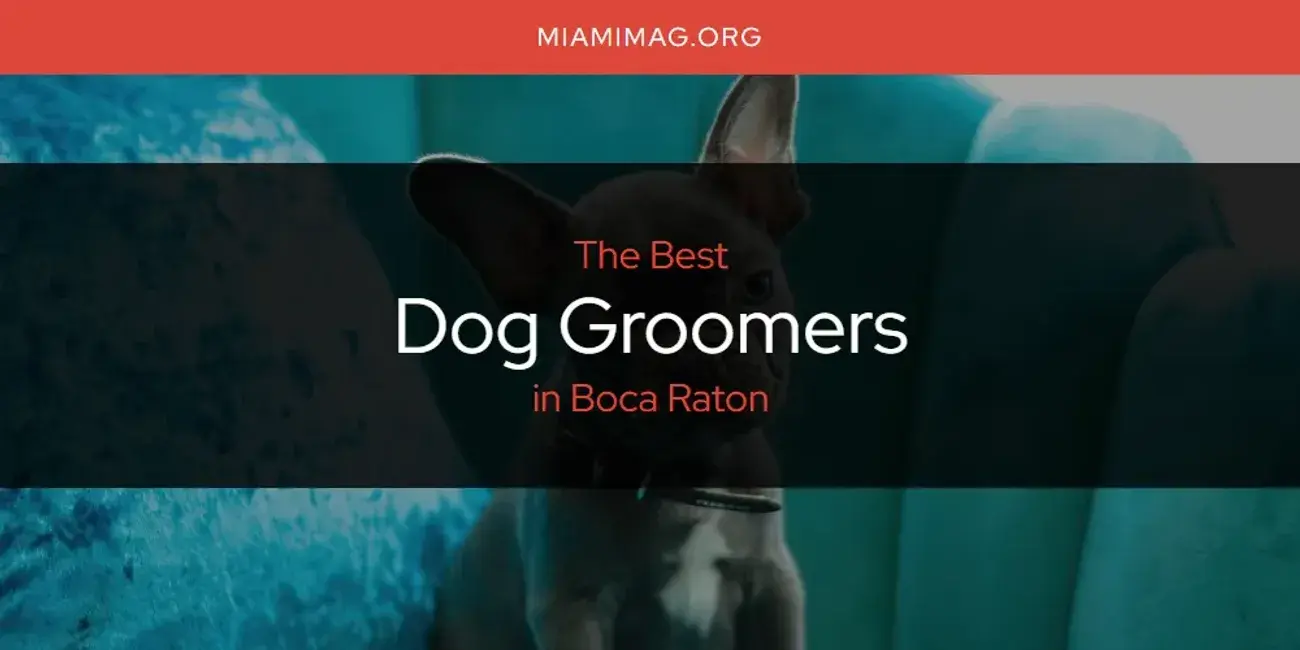 The Absolute Best Dog Groomers in Boca Raton  [Updated 2024]