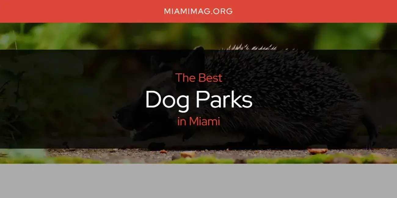 The Absolute Best Dog Parks in Miami  [Updated 2024]