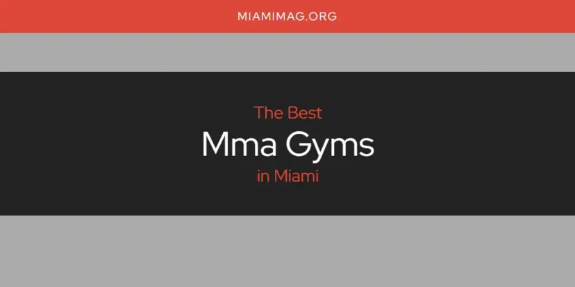 Miami's Best Mma Gyms [Updated 2024]