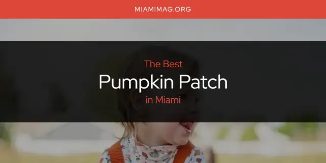 Miami's Best Pumpkin Patch [Updated 2024]