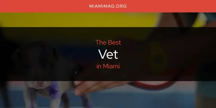 Miami's Best Vet [Updated 2024]